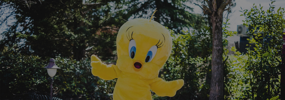 Enjoy endless fun!